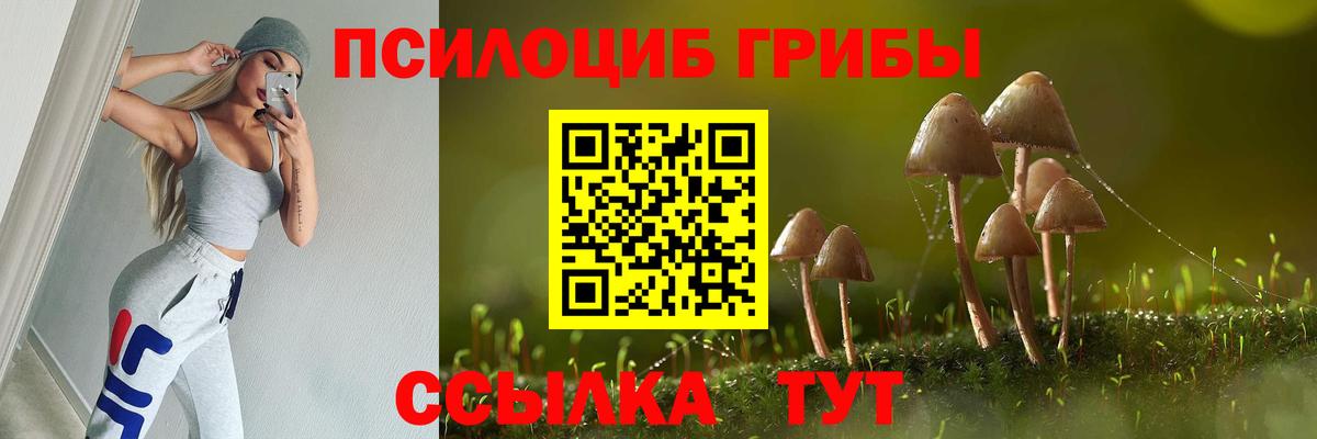 Галлюциногенные грибы Cubensis Шадринск